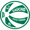 Gaucho Passo Fundo